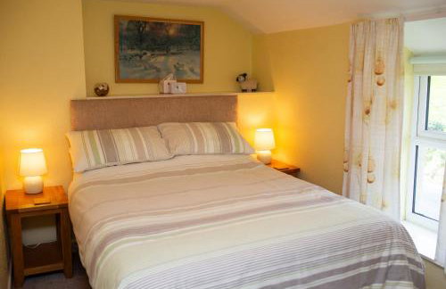 Soar Cottage Aberystwyth - Foto 8