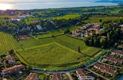 Apart Dina Lazise - Garten, Klima, Pool, Parkplatz, WIFI - Foto 29