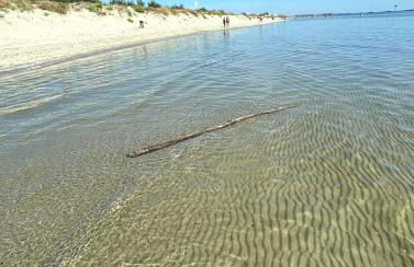 La Dolce Vita - Apartment with shared pool and large terrace - Foto 45