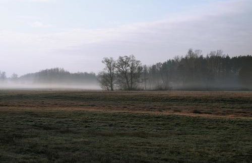 Masuria Warsaw Family - dom na wyłączność - w lesie i przy rzece - 15 min od Warszawy - idealny dla rodzin z dziećmi - Foto 51