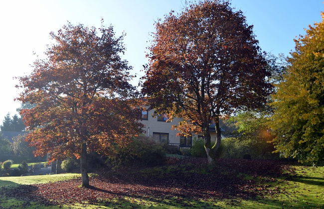 Apartment in Weywertz Near Ski Slopes - Photo 26