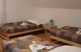 Agro-szyszynka - Foto 14