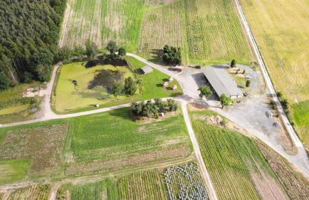 Thüringer Tannenhof Ferienwohnungen - Foto 7