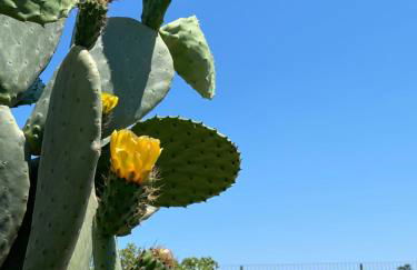 A casa di Ada - Foto 38