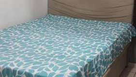 Casa em Araucária - Foto 5