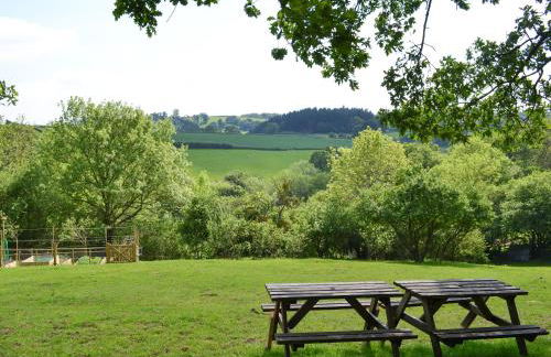 Burrills View - Foto 17