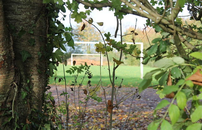 Gîte- La Ferme des Chataigniers - Foto 9