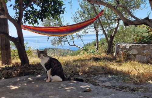 Archontoula's villa - Foto 21