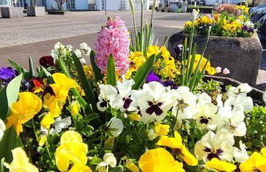 FeWo II Glücksmomente Bostalsee - Foto 23