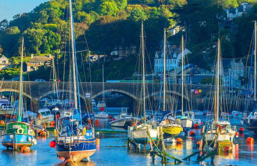 Looe Self Catering - Foto 36