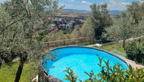 Agriturismo Villa Anna - Foto 4, Garden