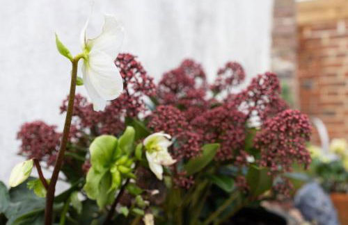 NEW - The Nook by The Butler Collection - Foto 45