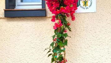 L'echappee belle - Foto 5