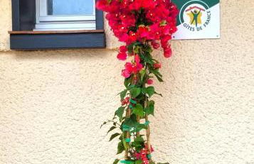 L'echappee belle - Foto 6