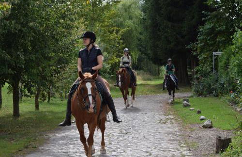 Ferienanlage Gutshaus Gramkow - Foto 9