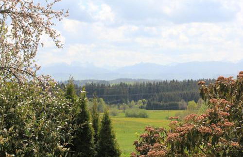 Kuh Heimat - Bergblick - Terrasse - Photo 17