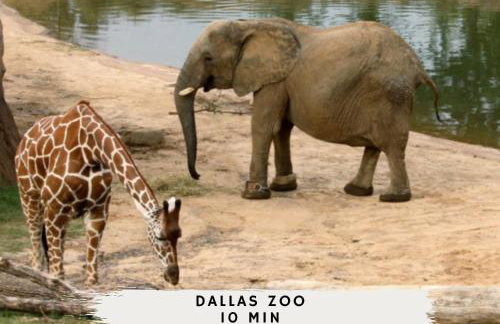 Best of The Cedars - Dallas Views Rooftop Luxury - Photo 37