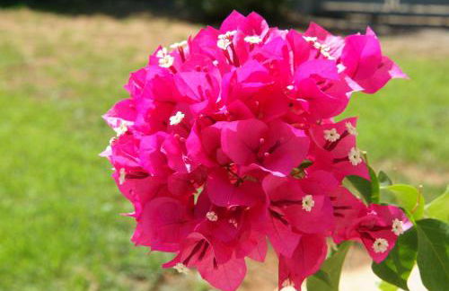 Nostra Caseta villa with pool & marina view near beaches - Foto 75