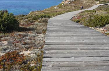 casa mirice in residence con piscina ,wifi,climatizzatore vicino al mare - Photo 24