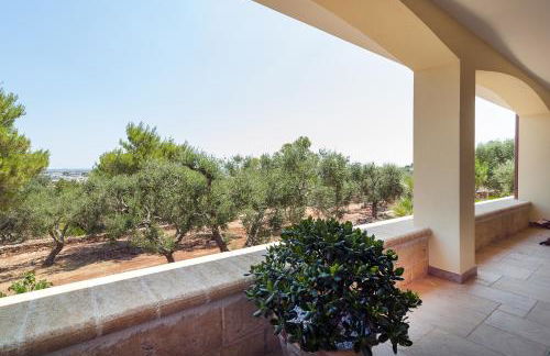 Tenuta Serra Peccatori - Foto 36