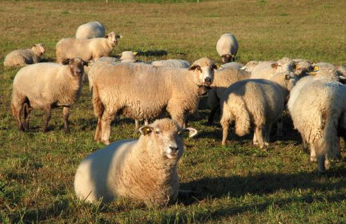 Face Mont-Blanc - Photo 17