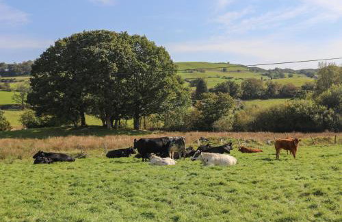 Maes Madog - Foto 49