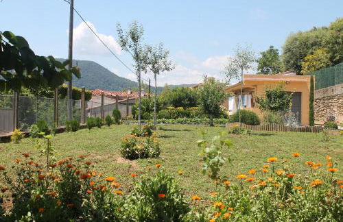 El racó del Puig - Foto 34