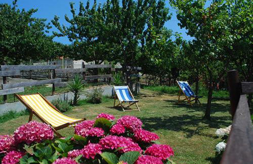 Agriturismo Terra e Cielo - Photo 22
