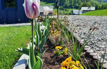 Domek Ostoja - Foto 43