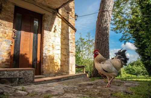 Il Rifugio del Cacciatore / The Hunter's Shelter - Foto 6