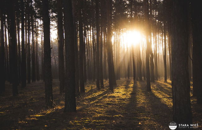 Resort Stara Wieś - Photo 77