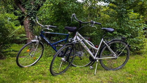 Ferienwohnung Hitzacker/Elbe - Foto 2