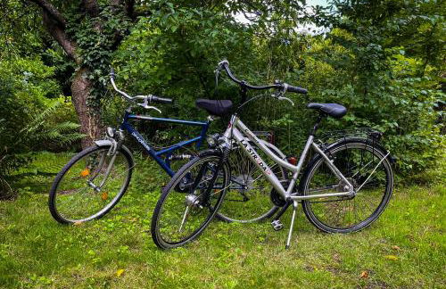 Ferienwohnung Hitzacker/Elbe - Foto 2