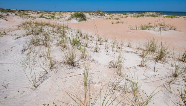 Sunsetter - Foto 5, Exterior