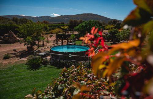 Finca Los Pajaros cerca de Puy du fou Toledo - Foto 13