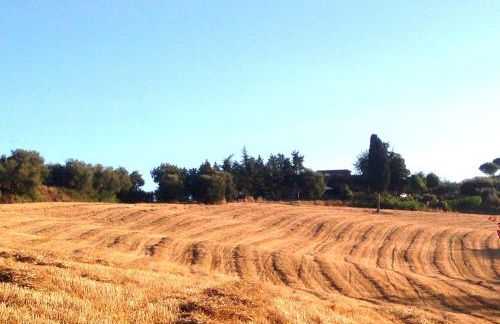 Welcome at Poggio Cantarello Country Home Tuscany - Foto 47