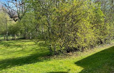 Les Cachettes du Hérisson - Le Choupisson - Foto 17