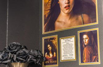 Rainforest Tiny Home Retreat Twilight Edition - Foto 22