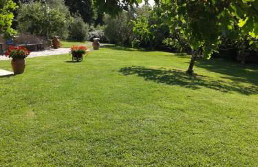 Podere Stollo - Foto 48