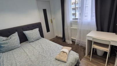 3 chambres dans grand T4 Proche Lac, ENTPE, Planétarium & Autoroute - Foto 3