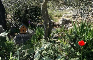 Hvar Mediterranean Ranch House - Foto 76