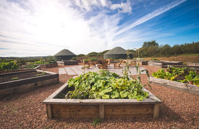 Zen Jungle Retreat - Foto 43