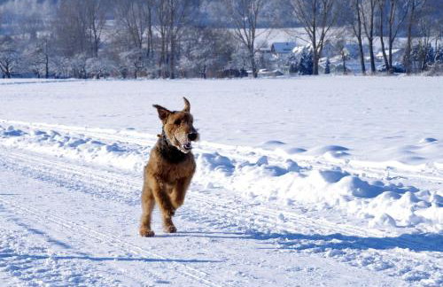 Ferienhof Hanssler - Photo 2