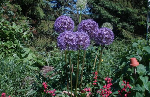 FeWo Die Dittrichs - Photo 10