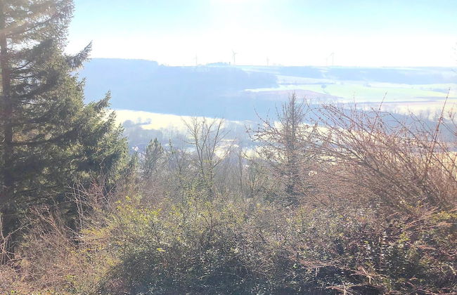 Ferienhaus, Schontal-winzenhofenn - Foto 42