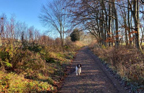 Star Cottage - Harbottle - Nr Rothbury - Northumberland - Foto 20