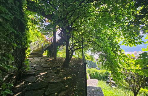 Botanic Garden Lake Como - Foto 43