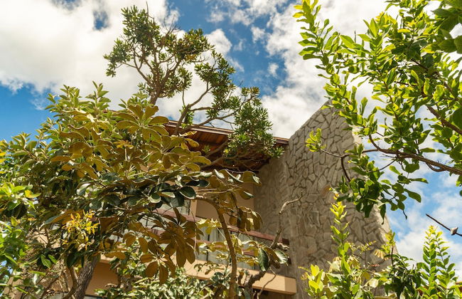 Lofts Lobo Guara - Foto 35