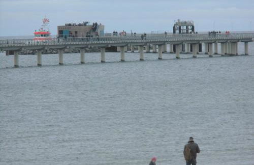 Tor zum Darss - Foto 43