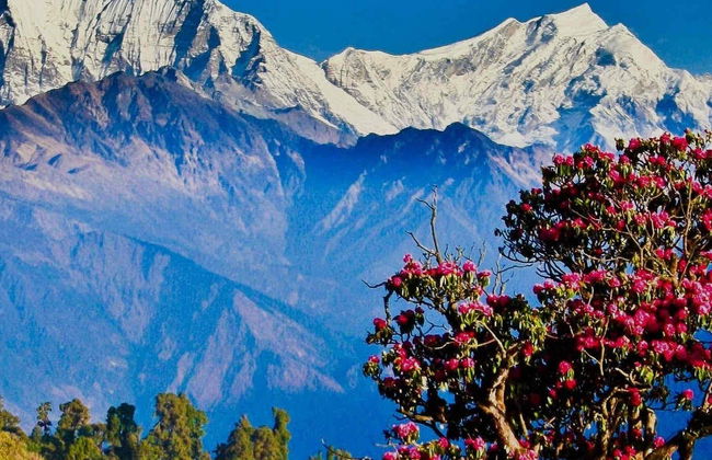 Trekking de 3 días por Poon Hill y Ghorepani - Foto 2